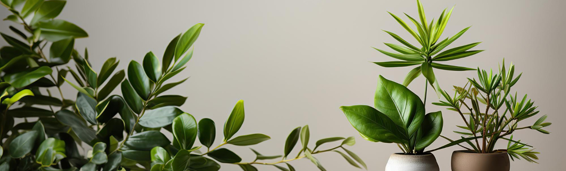 contact-bg contact bg